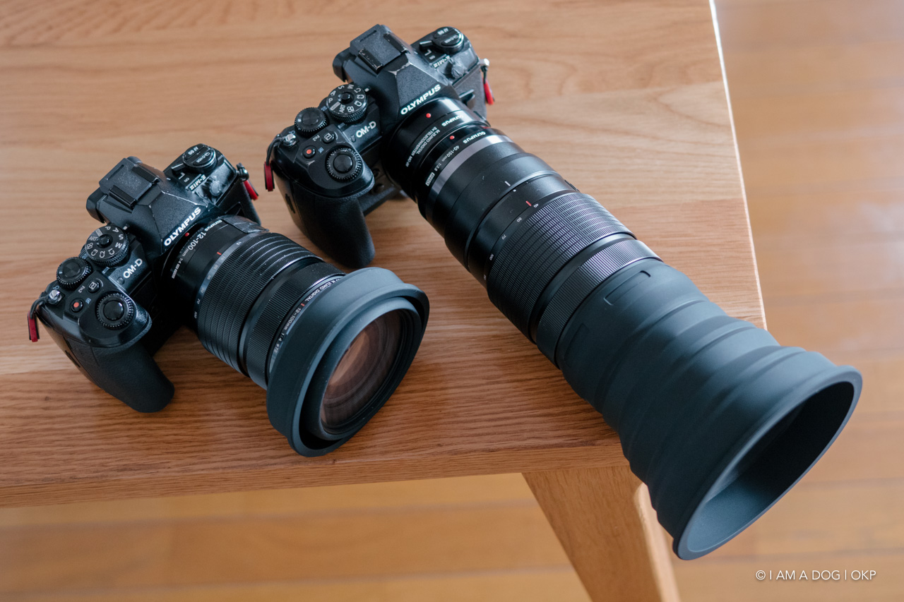 f:id:OKP:20210415125556j:plain