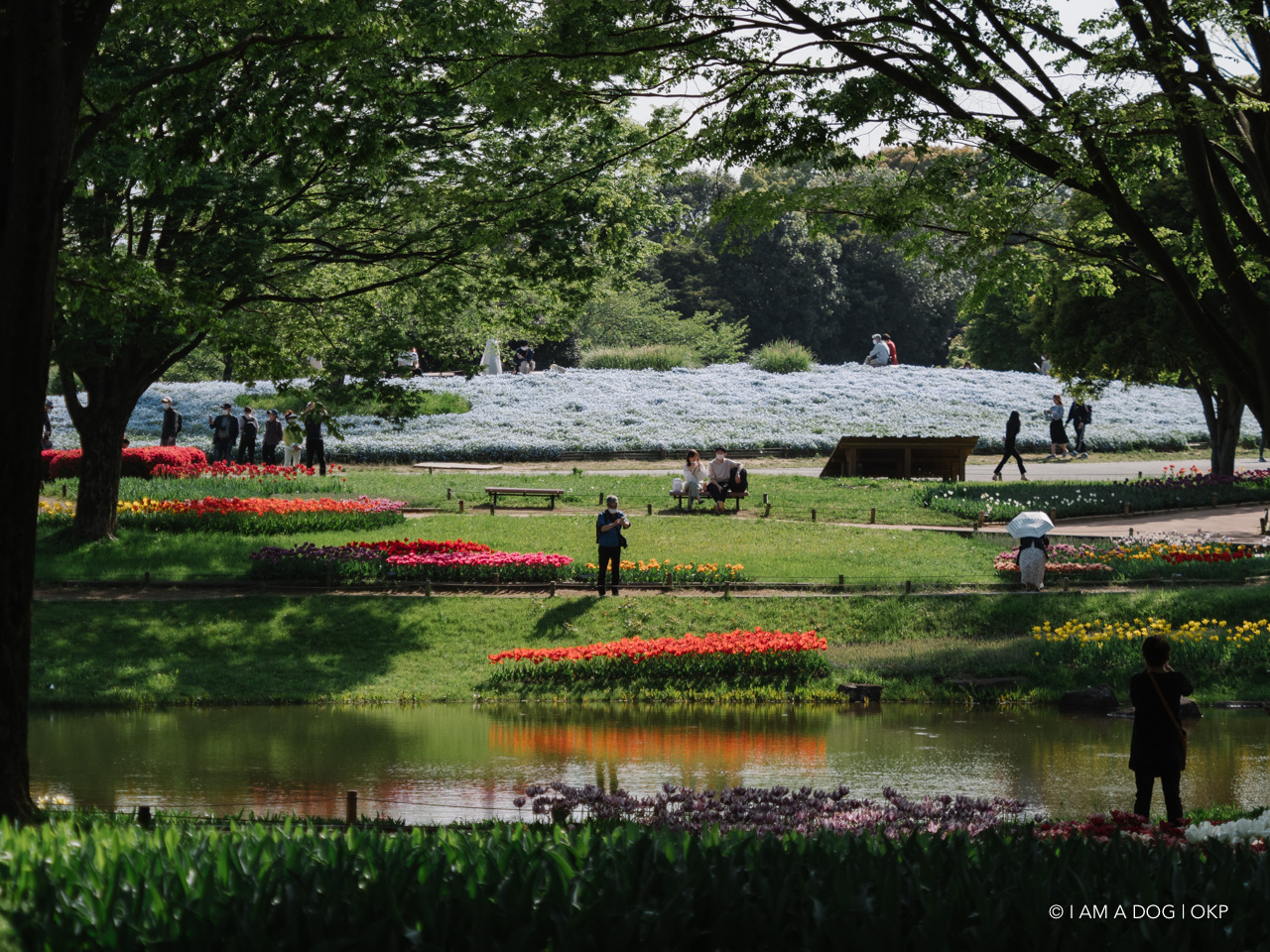 f:id:OKP:20210421102223j:plain