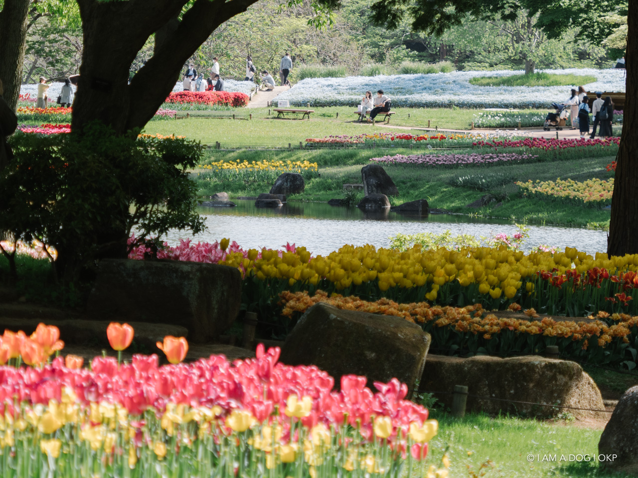 f:id:OKP:20210421102228j:plain