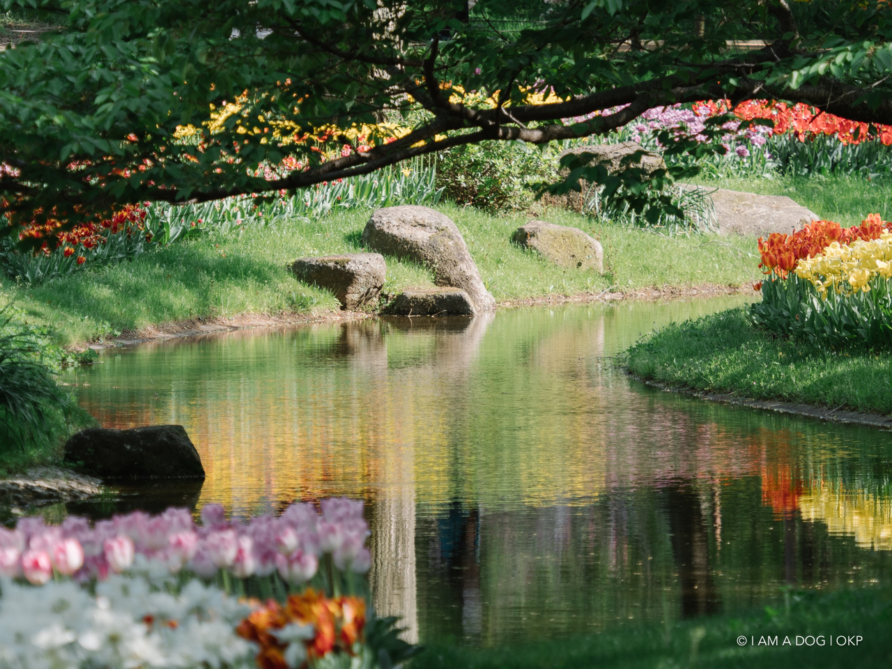 f:id:OKP:20210421102245j:plain