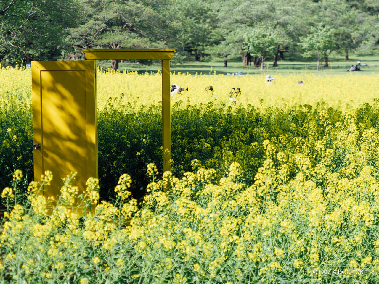 f:id:OKP:20210421102322j:plain