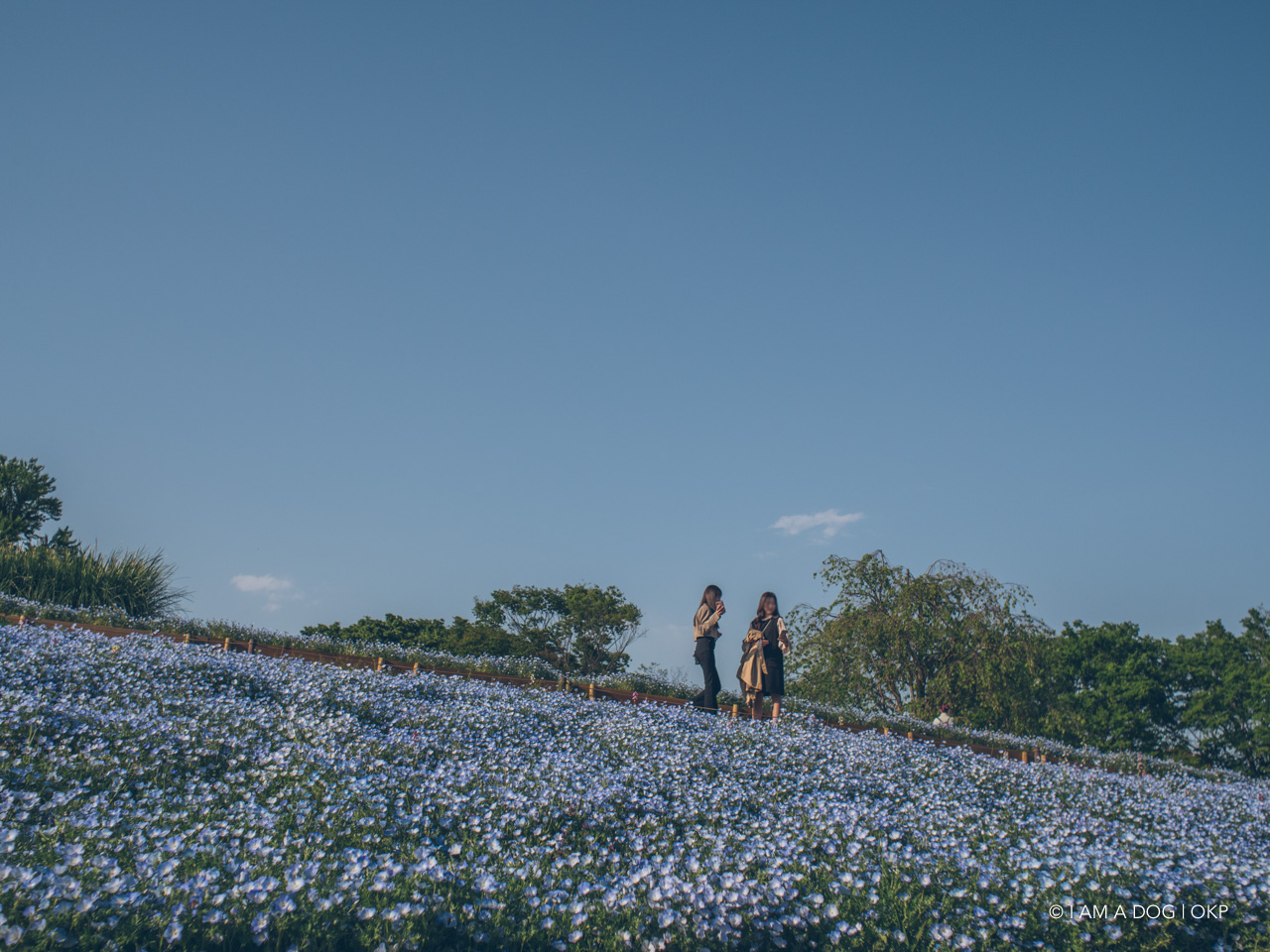 f:id:OKP:20210421102435j:plain