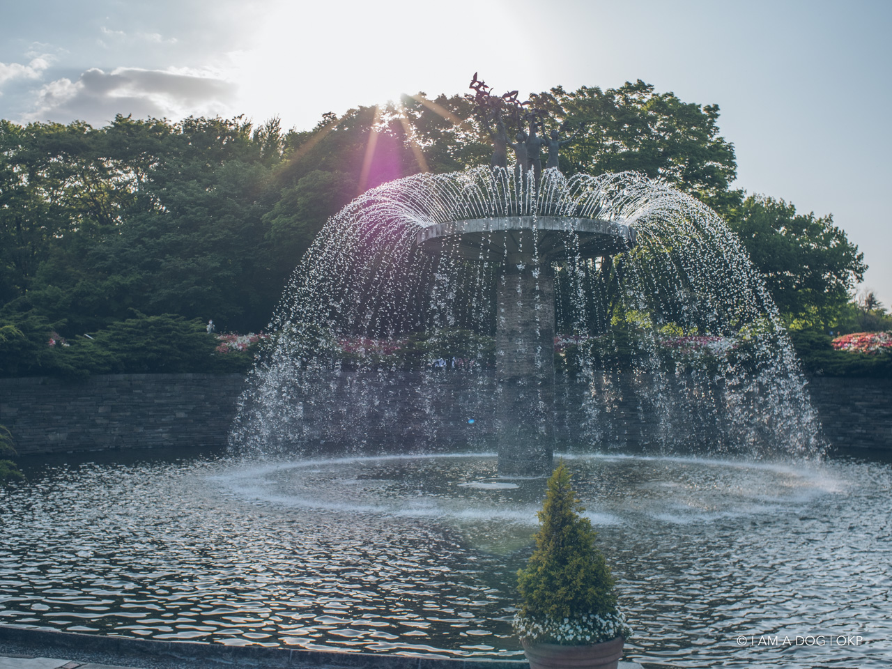 f:id:OKP:20210421102450j:plain