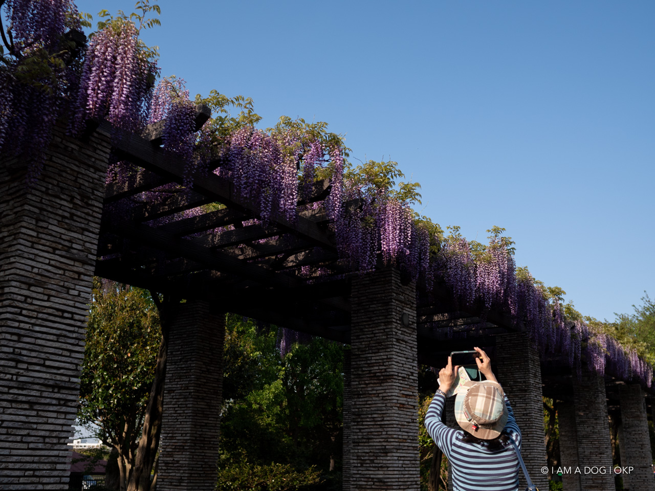 f:id:OKP:20210421102455j:plain