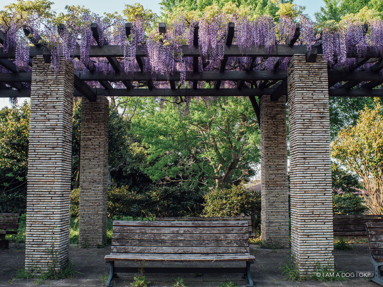 f:id:OKP:20210421102512j:plain