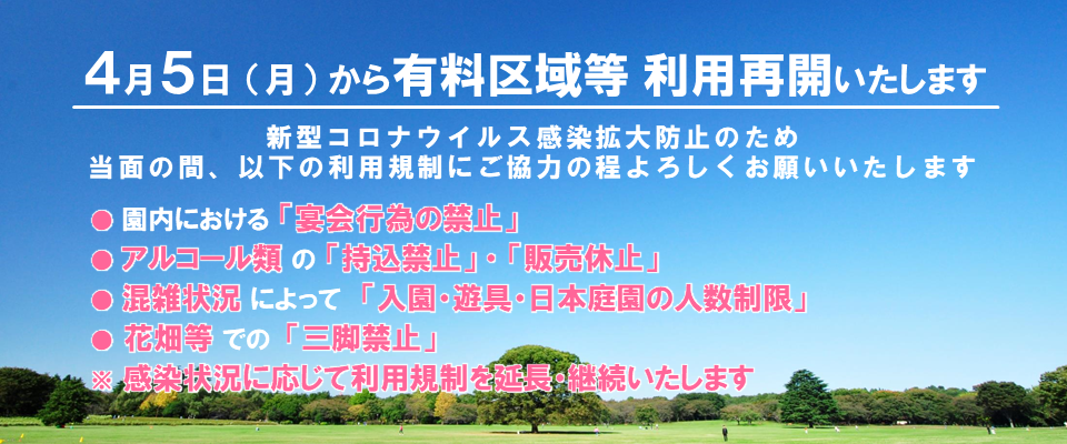 f:id:OKP:20210421102552p:plain