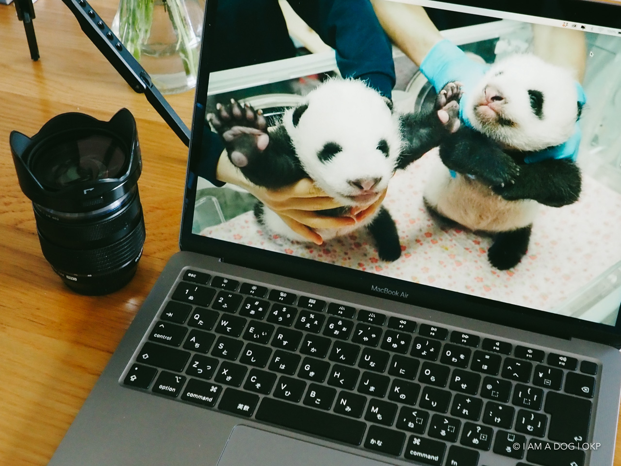 f:id:OKP:20210819171506j:plain