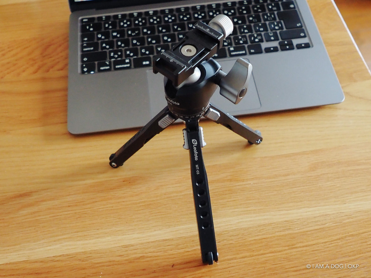 f:id:OKP:20210819171512j:plain