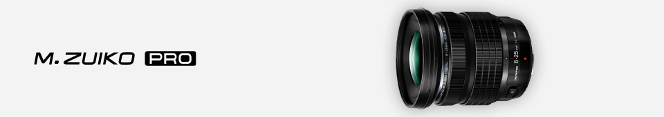 f:id:OKP:20210819172821j:plain