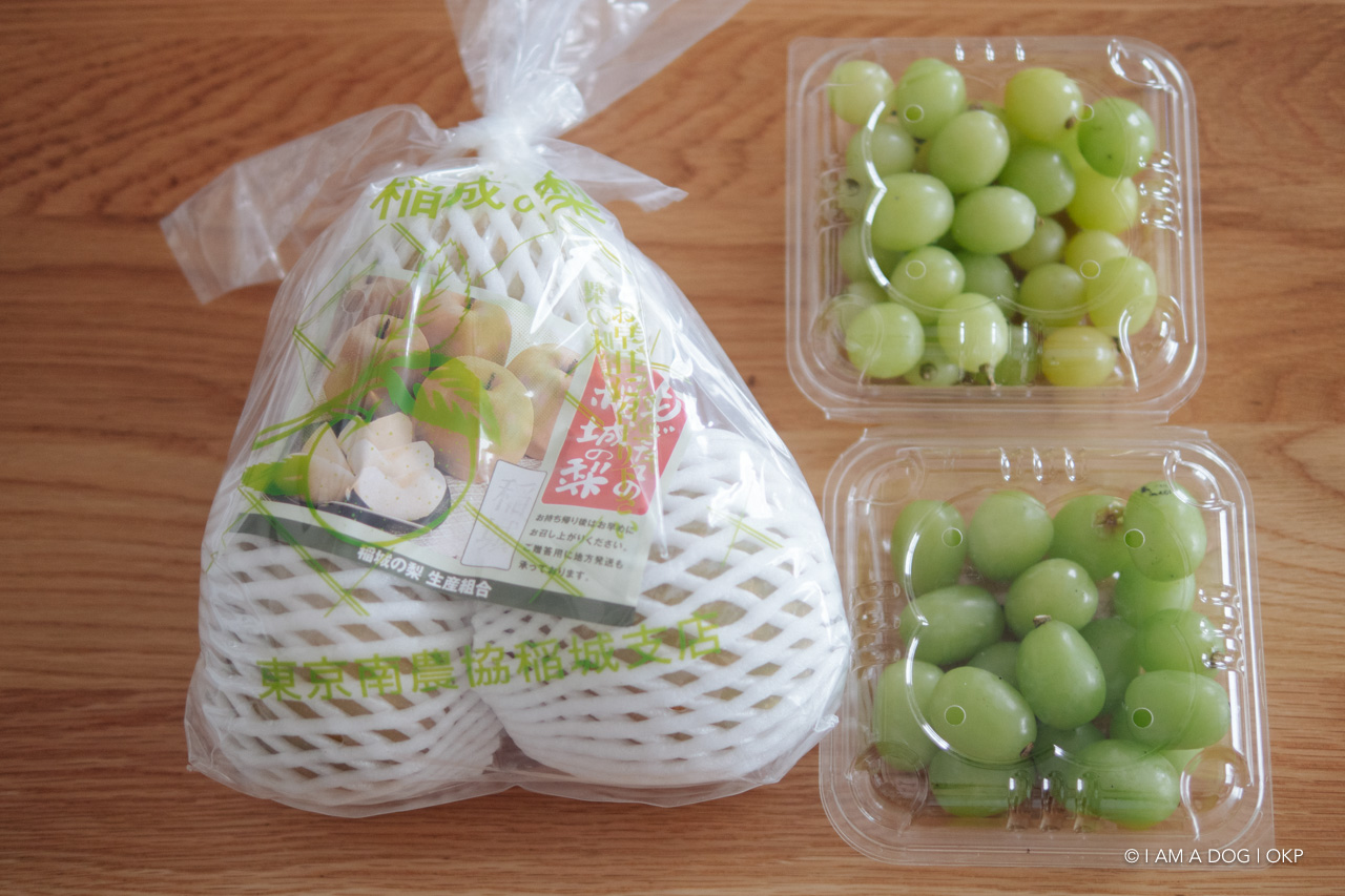 f:id:OKP:20210823232722j:plain