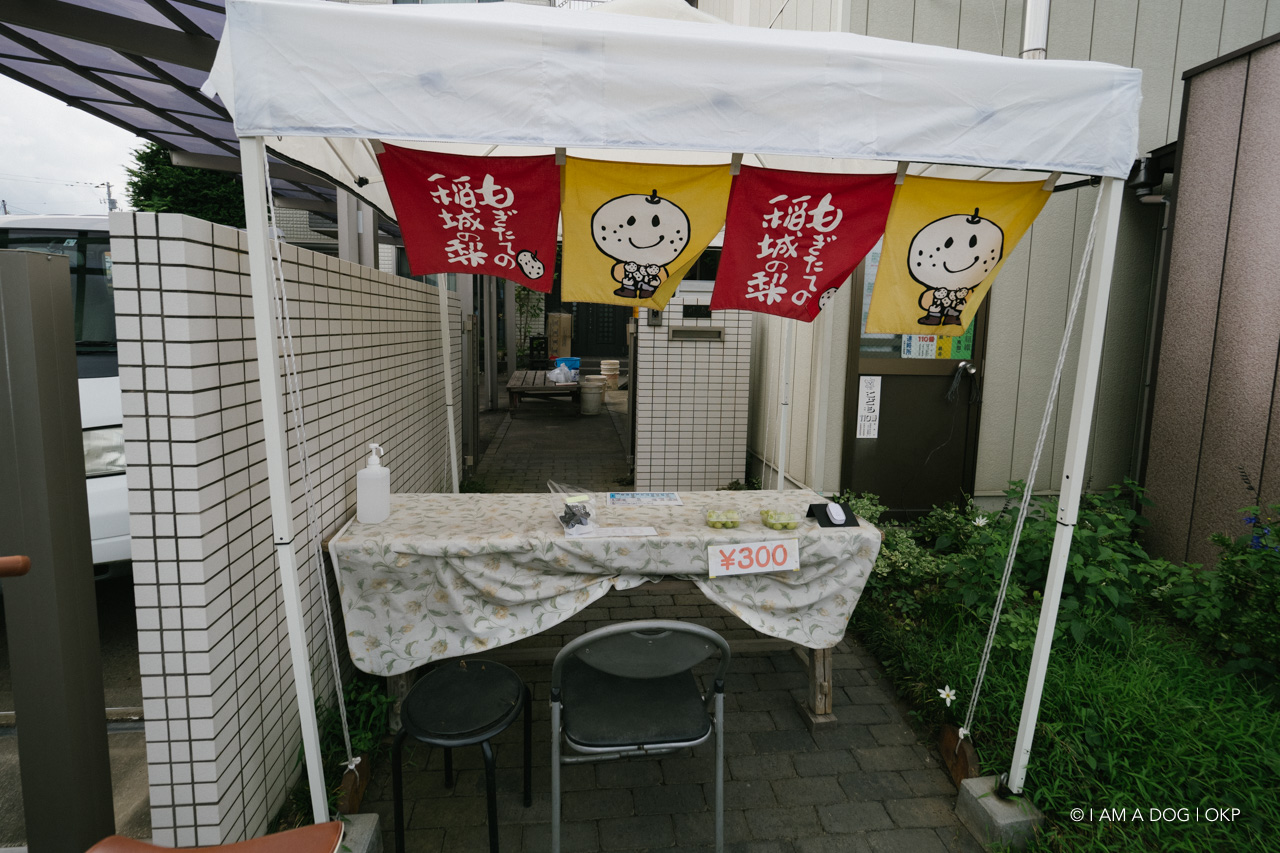 f:id:OKP:20210823232827j:plain