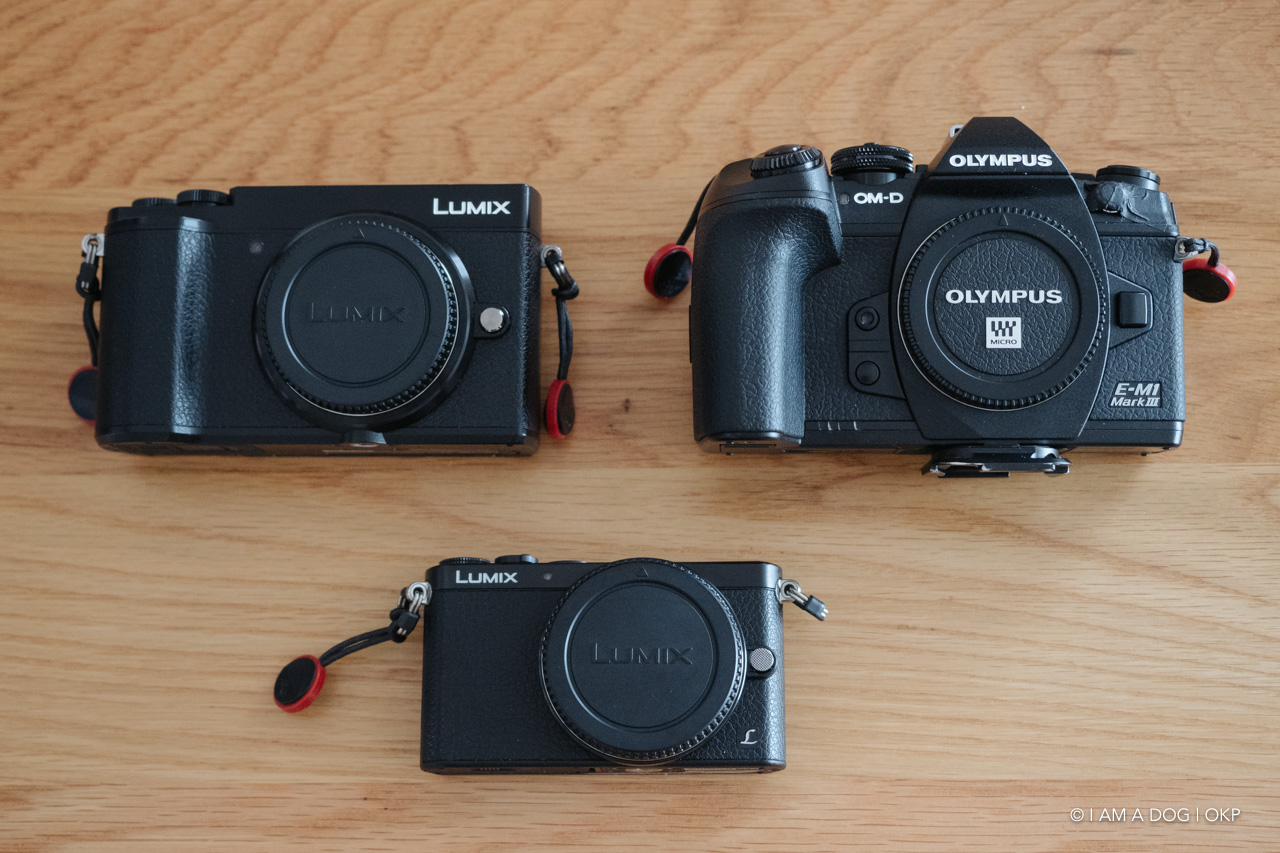 今更ながらLUMIX DMC-GM1を入手：マイクロフォーサーズのコンパクト性