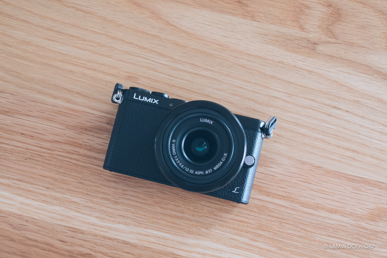 今更ながらLUMIX DMC-GM1を入手：マイクロフォーサーズの