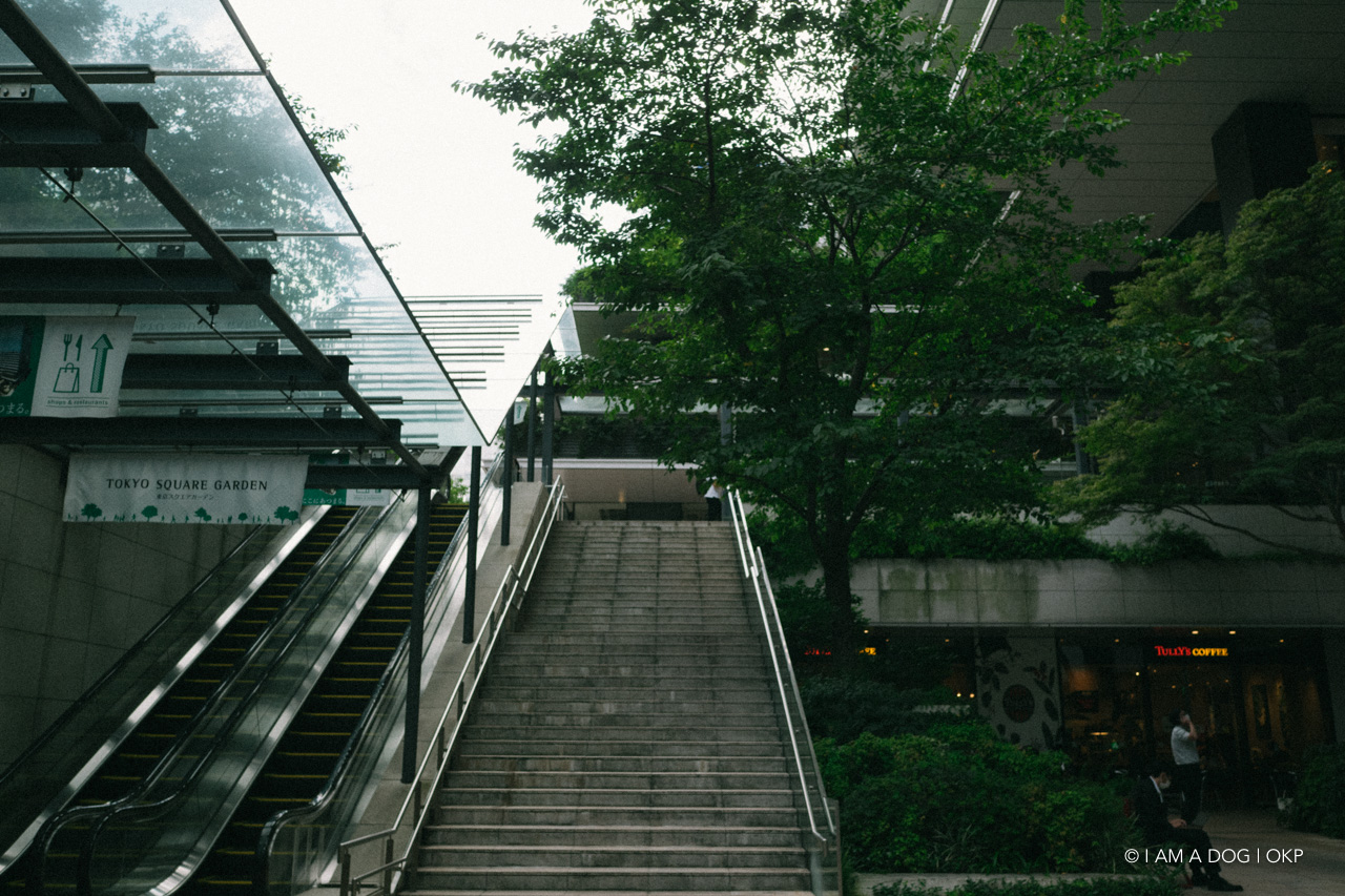 f:id:OKP:20210908154602j:plain