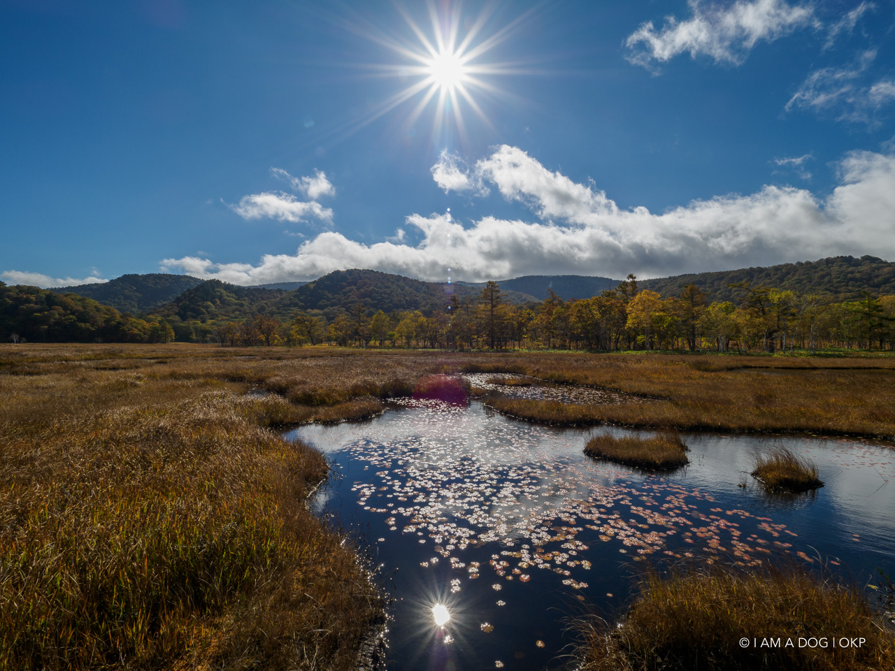 秋の尾瀬ヶ原 紅葉ハイキングから見晴キャンプ場でのんびりテント泊 1日目 I Am A Dog