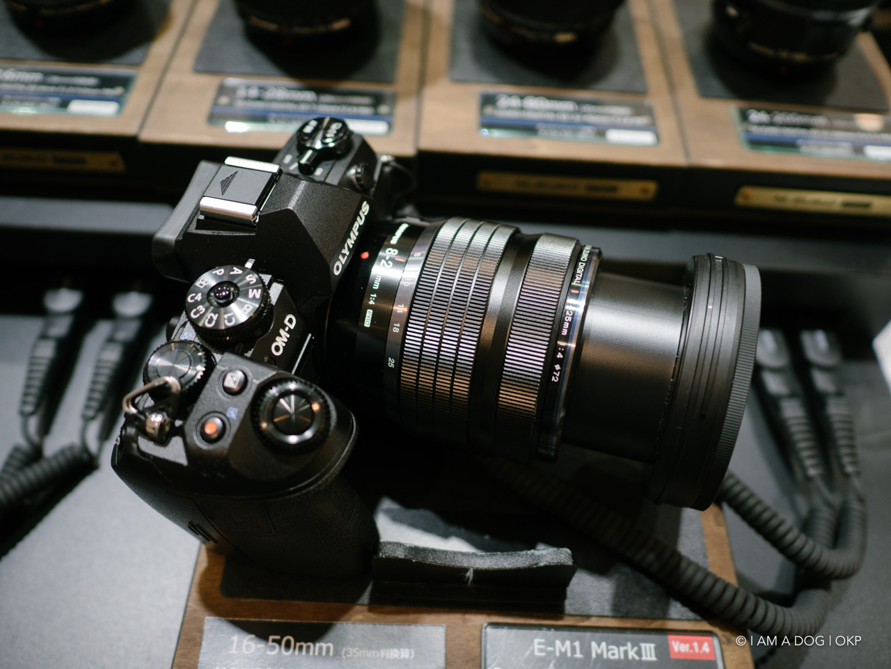 OLYMPUS OM-1 12-100 予備バッテリー バッグ ピークデザイン M.ZUIKO