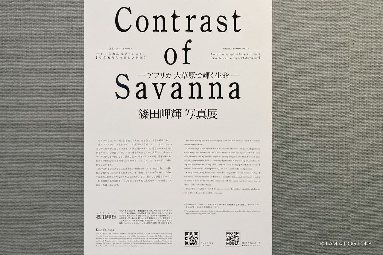 f:id:OKP:20220120113822j:plain