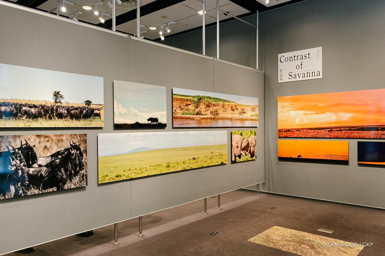 f:id:OKP:20220120113826j:plain