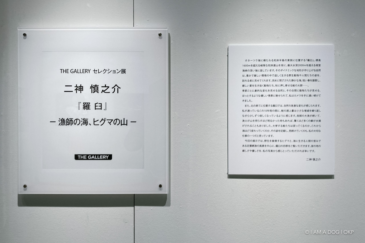 f:id:OKP:20220120113842j:plain