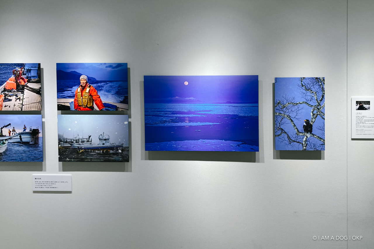 f:id:OKP:20220120113851j:plain