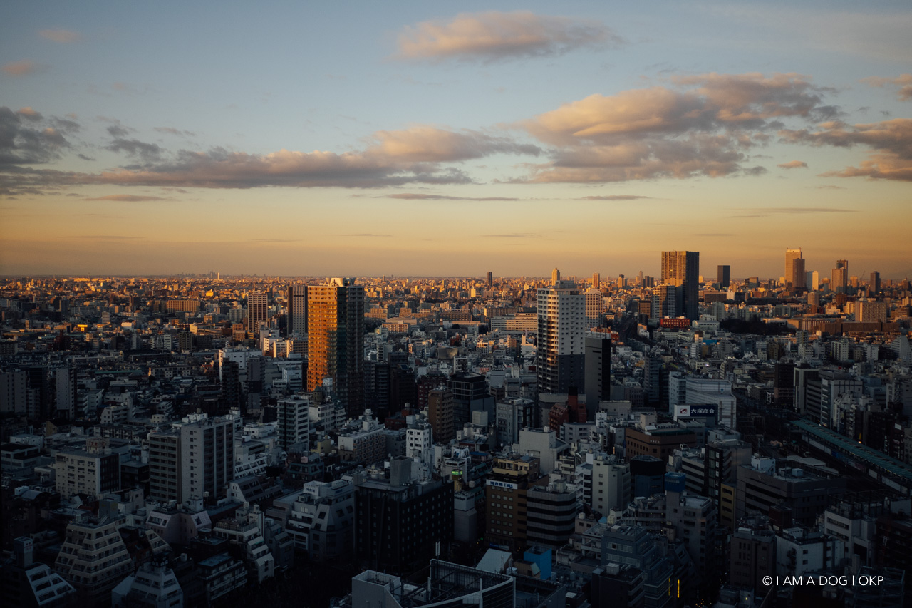 f:id:OKP:20220120113859j:plain