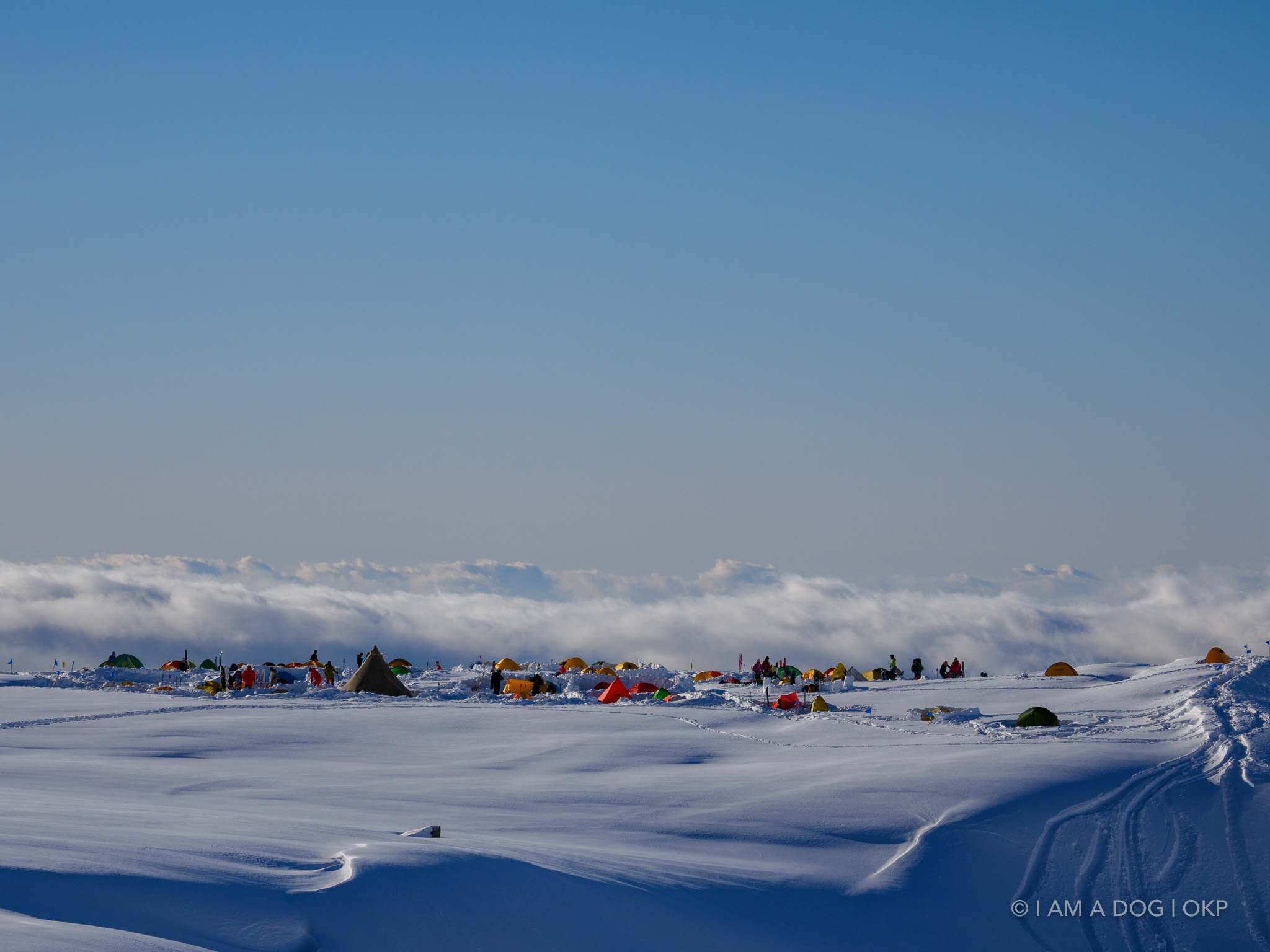 f:id:OKP:20220303190132j:plain