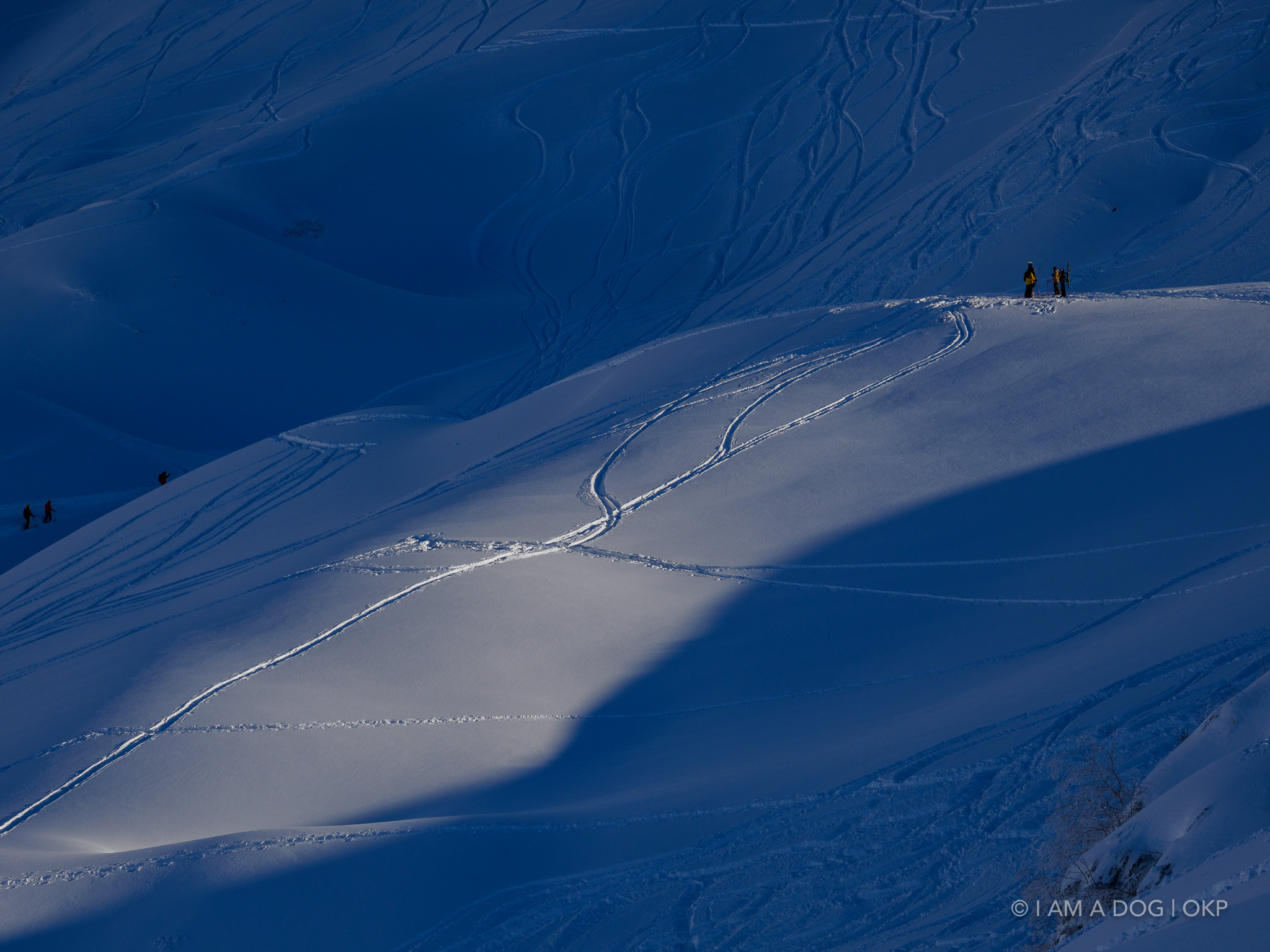 f:id:OKP:20220303190137j:plain