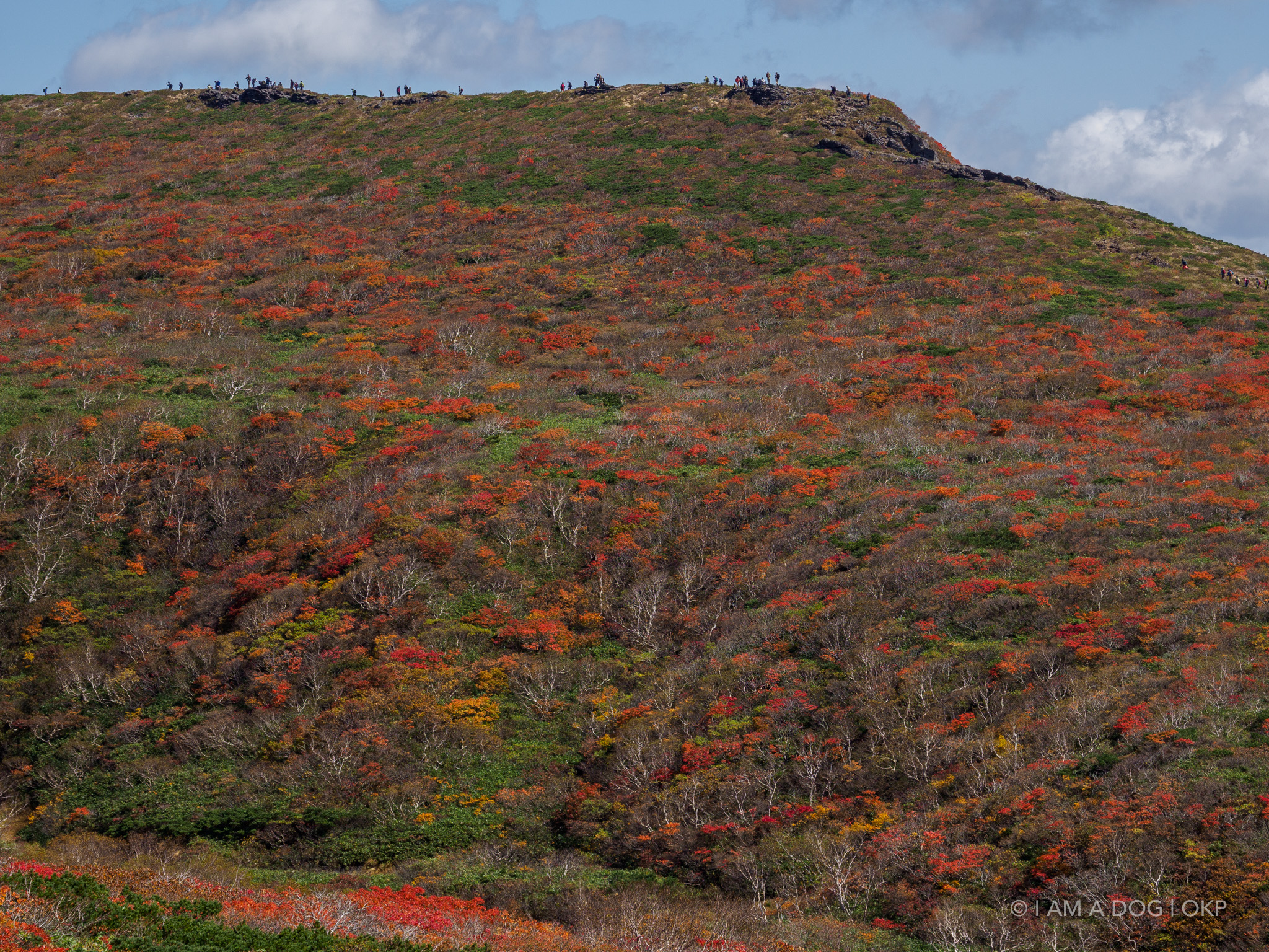 f:id:OKP:20220303190144j:plain