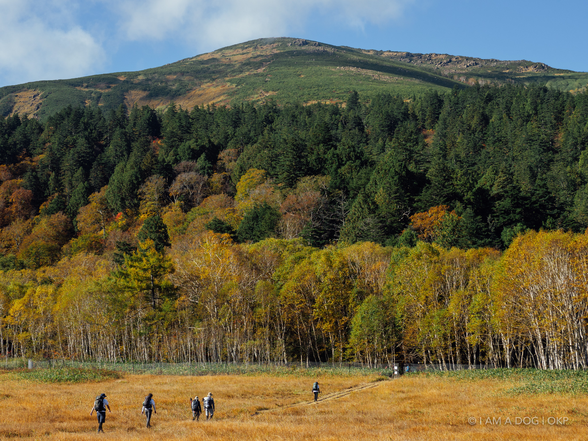 f:id:OKP:20220303190150j:plain