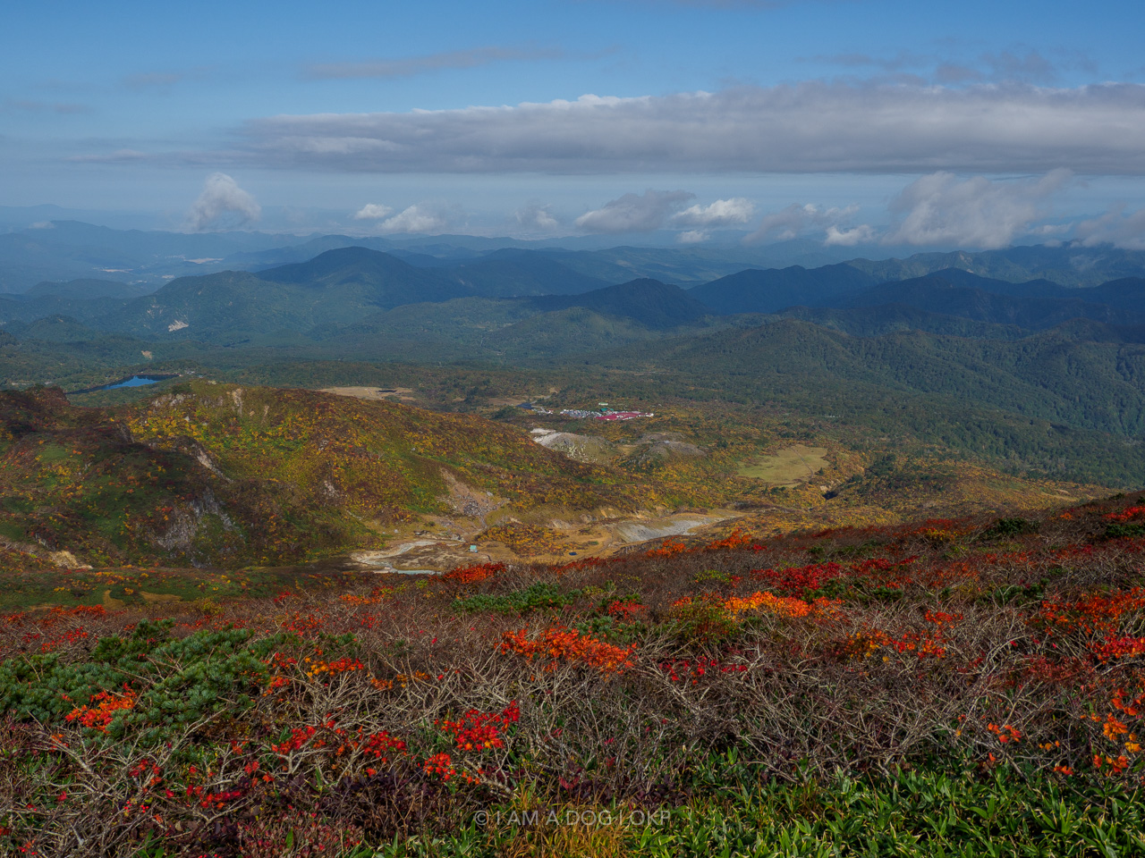 21年10月3日 東北 栗駒山の紅葉写真 I Am A Dog