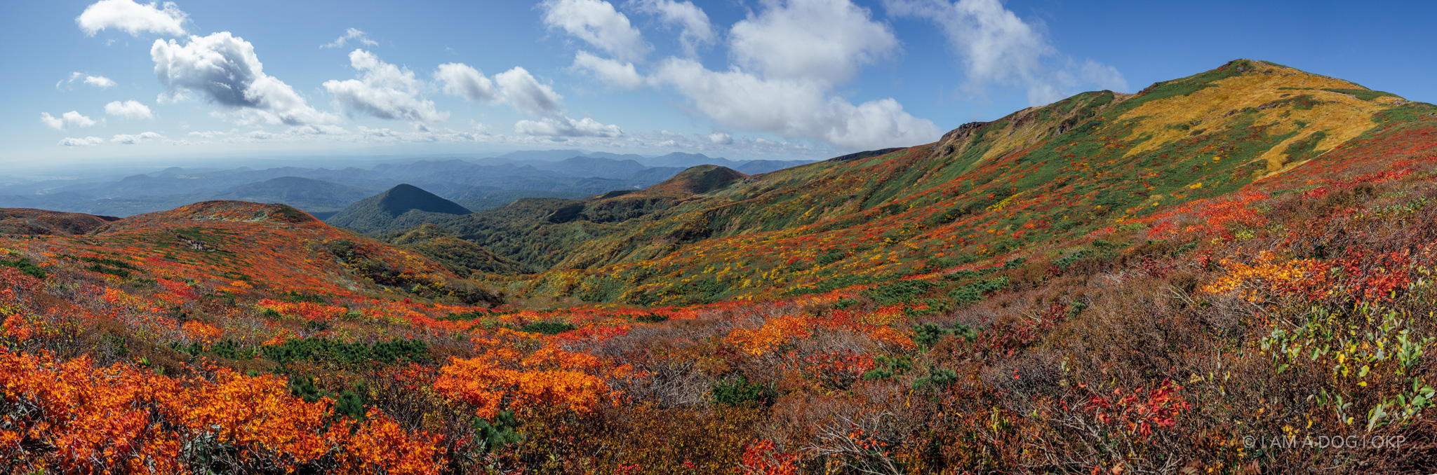 21年10月3日 東北 栗駒山の紅葉写真 I Am A Dog