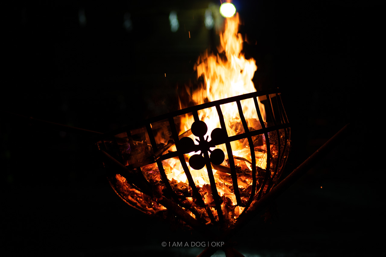 f:id:OKP:20220303232719j:plain