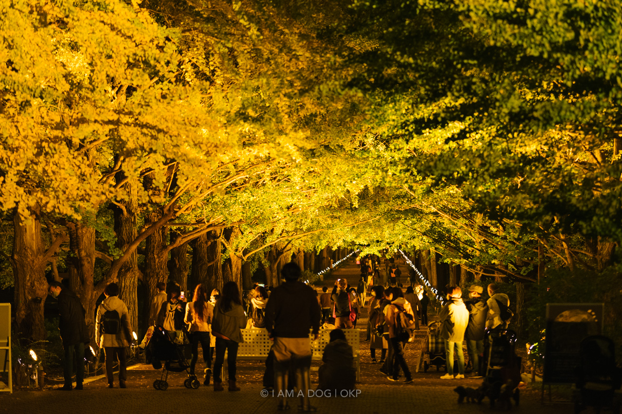 f:id:OKP:20220303232729j:plain