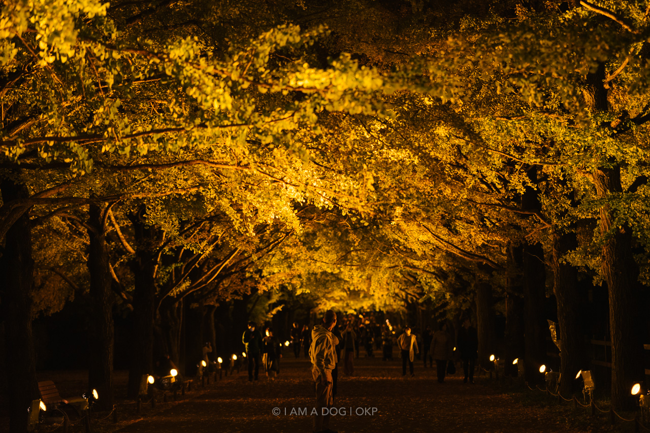 f:id:OKP:20220303232734j:plain