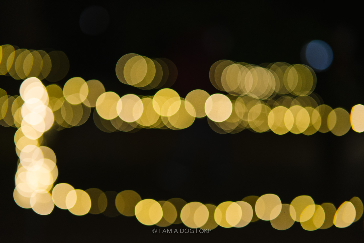 f:id:OKP:20220303232748j:plain