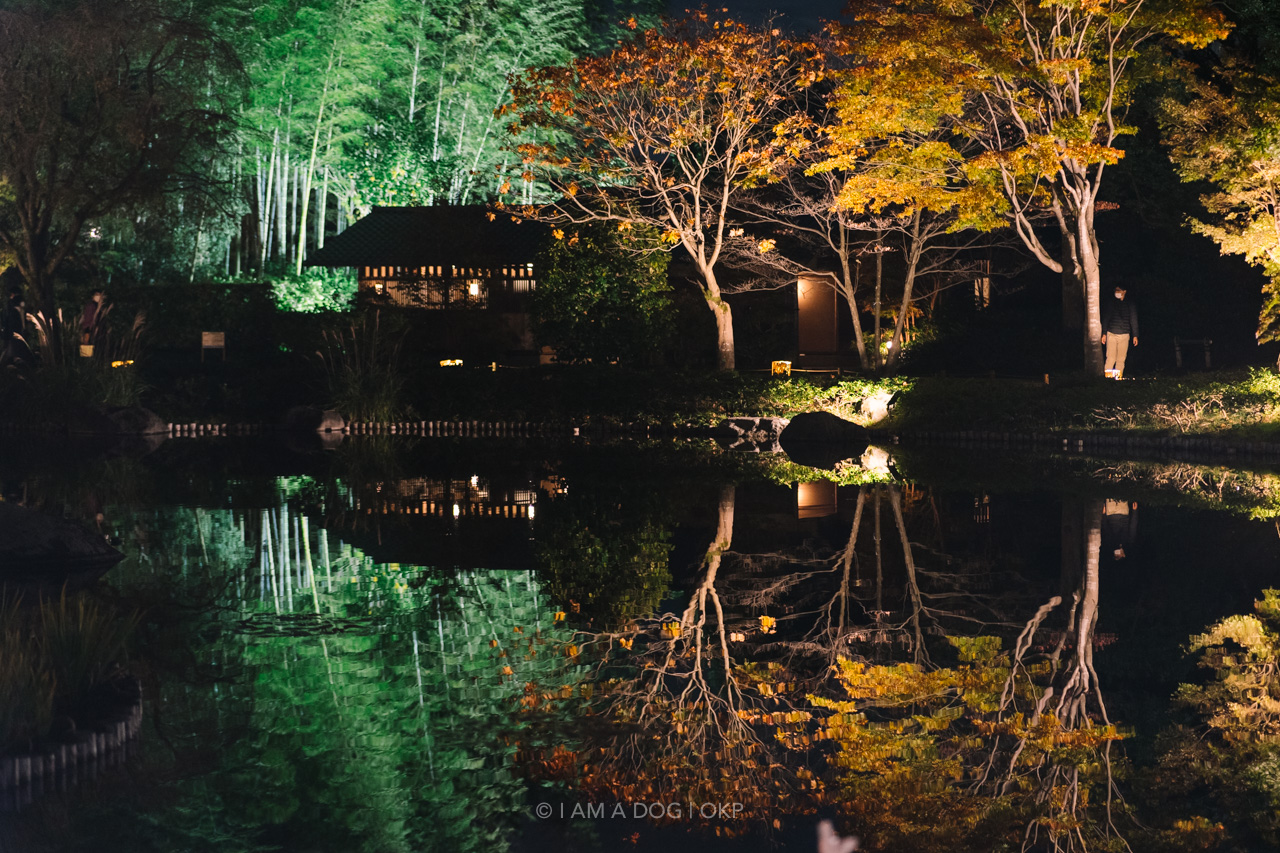 f:id:OKP:20220303232802j:plain