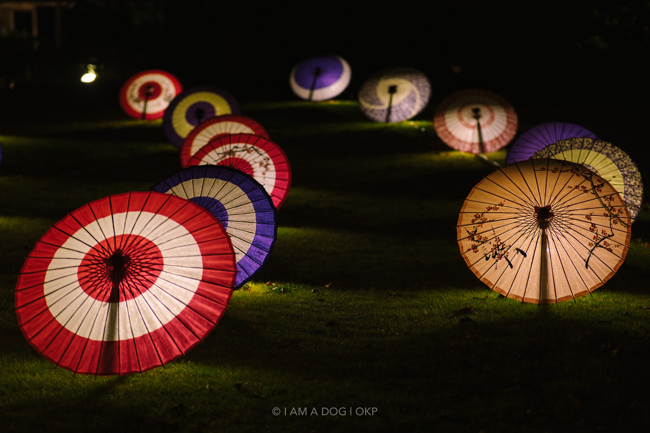 f:id:OKP:20220303232807j:plain