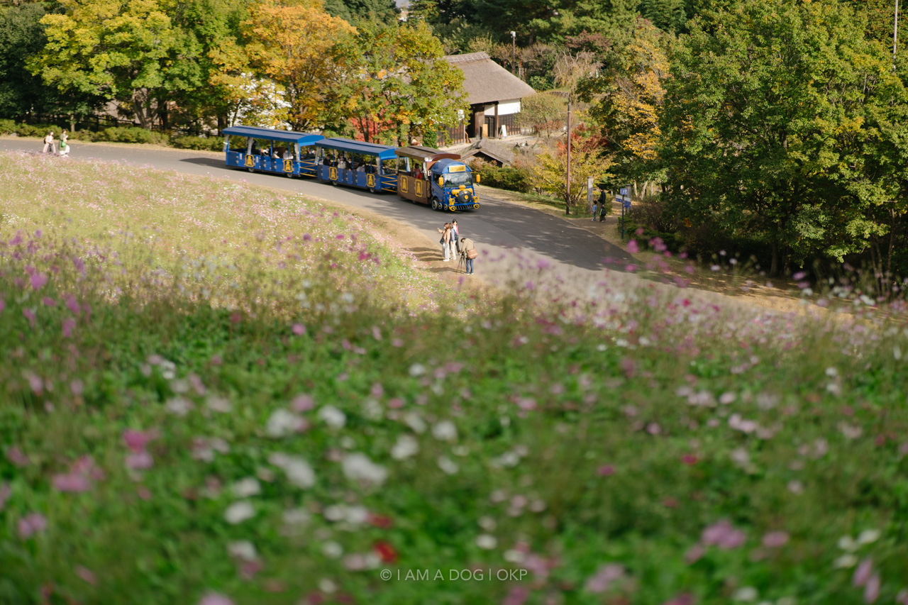 f:id:OKP:20220303232856j:plain