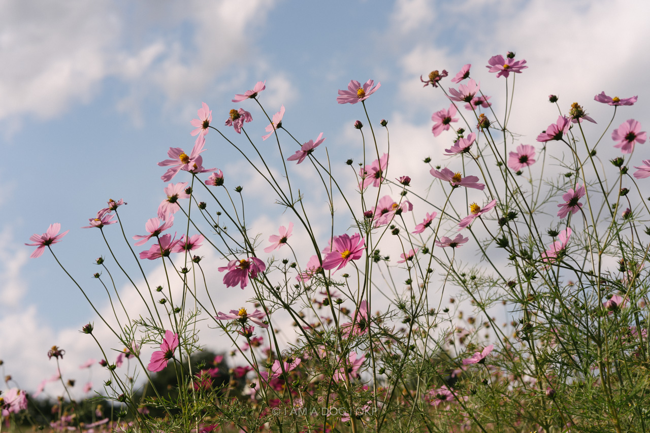 f:id:OKP:20220303232921j:plain