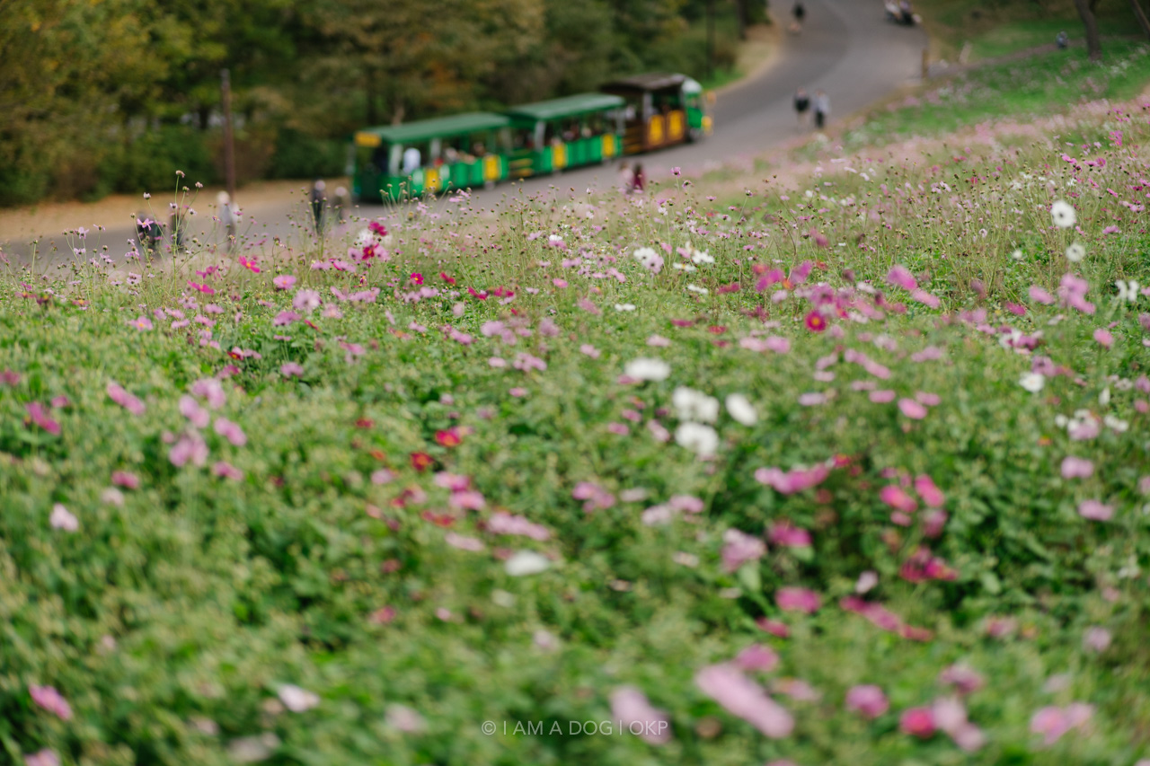 f:id:OKP:20220303232935j:plain