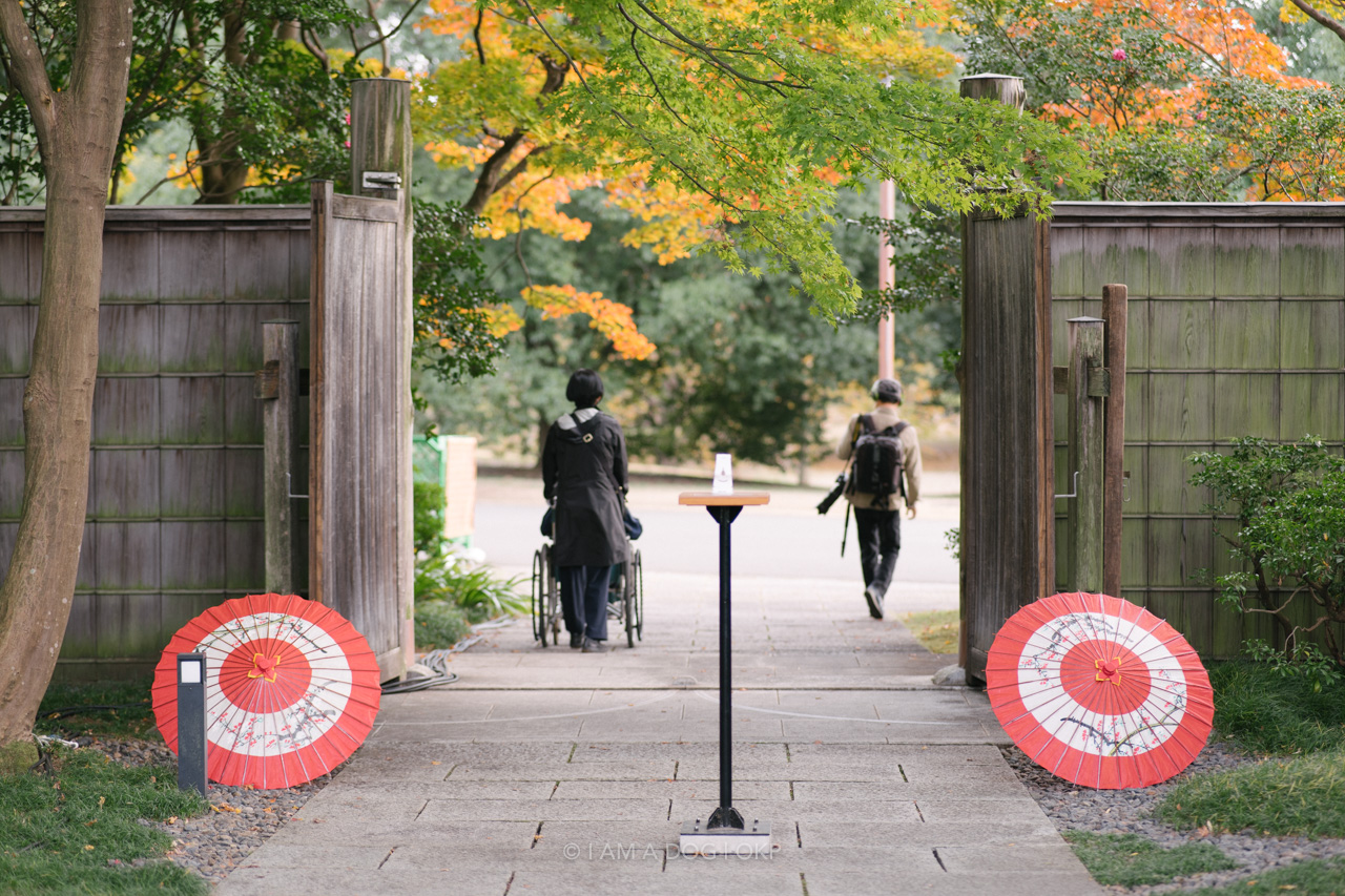 f:id:OKP:20220303232940j:plain