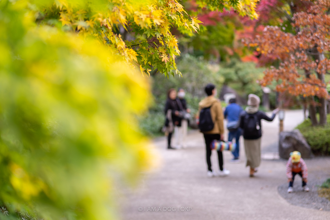 f:id:OKP:20220303232956j:plain