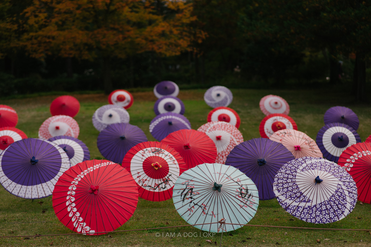 f:id:OKP:20220303233013j:plain