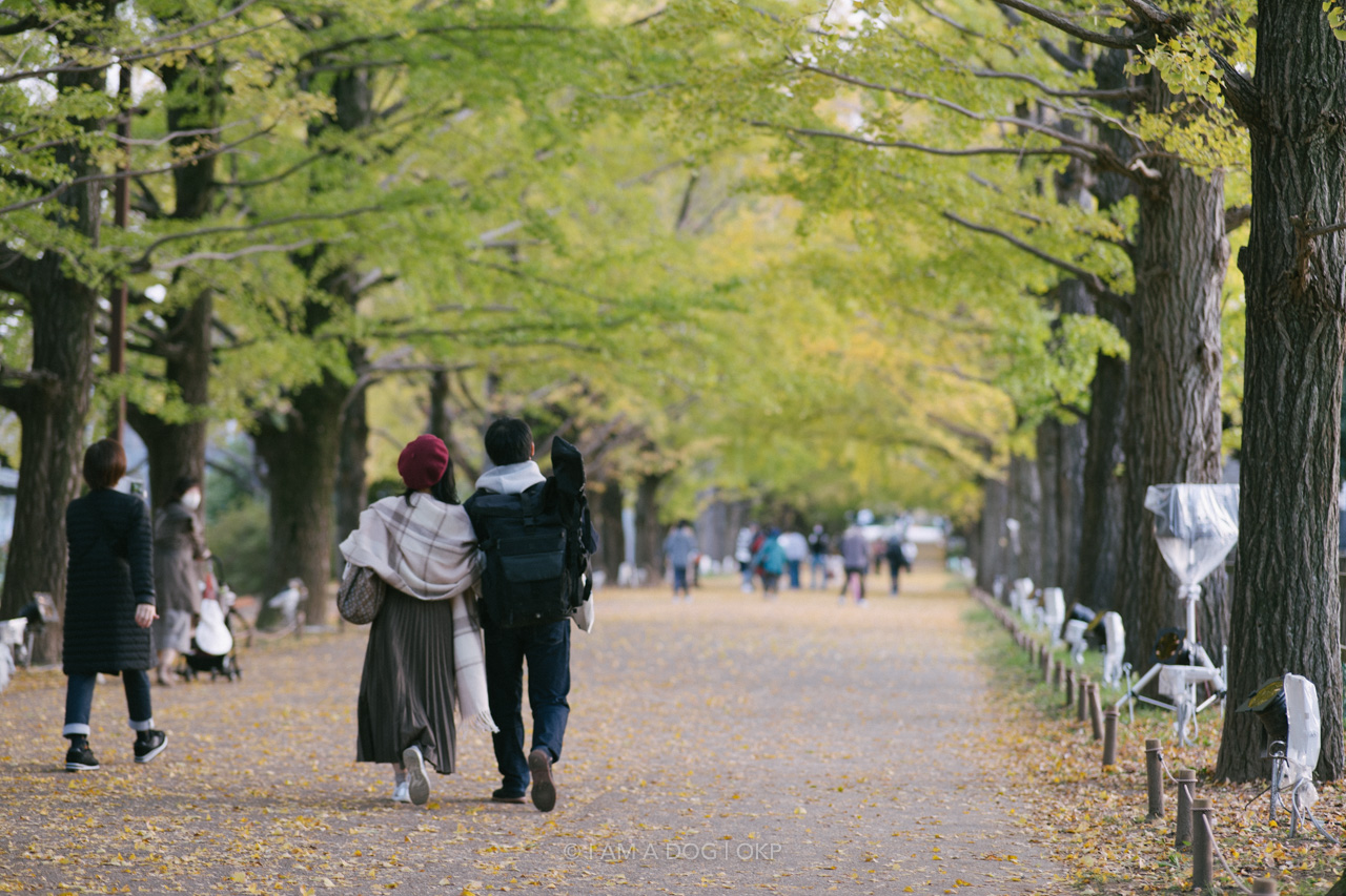 f:id:OKP:20220303233017j:plain