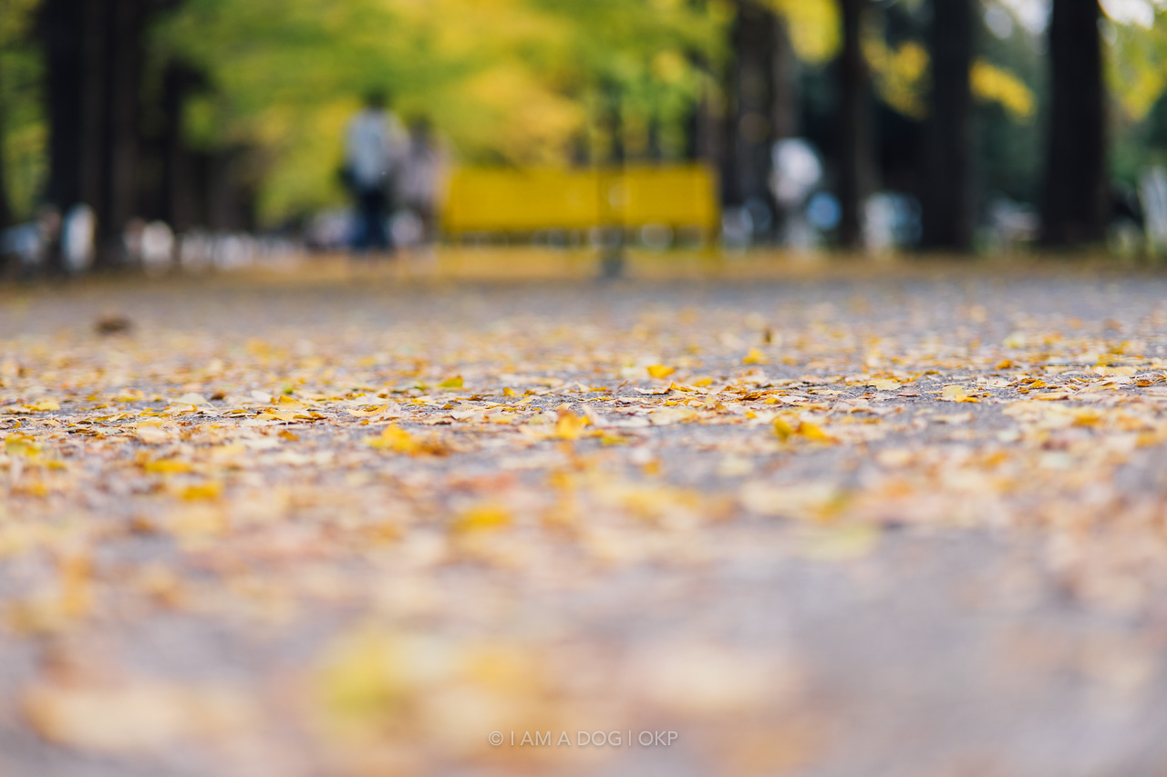 f:id:OKP:20220303233021j:plain