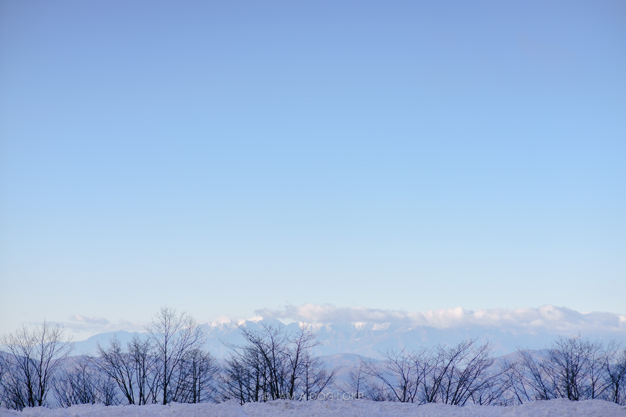 f:id:OKP:20220303233041j:plain