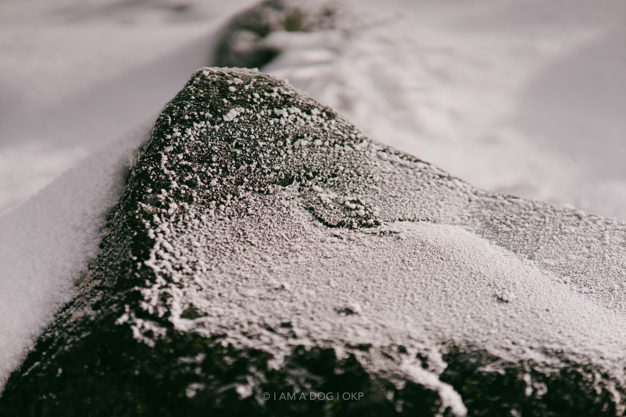 f:id:OKP:20220303233049j:plain