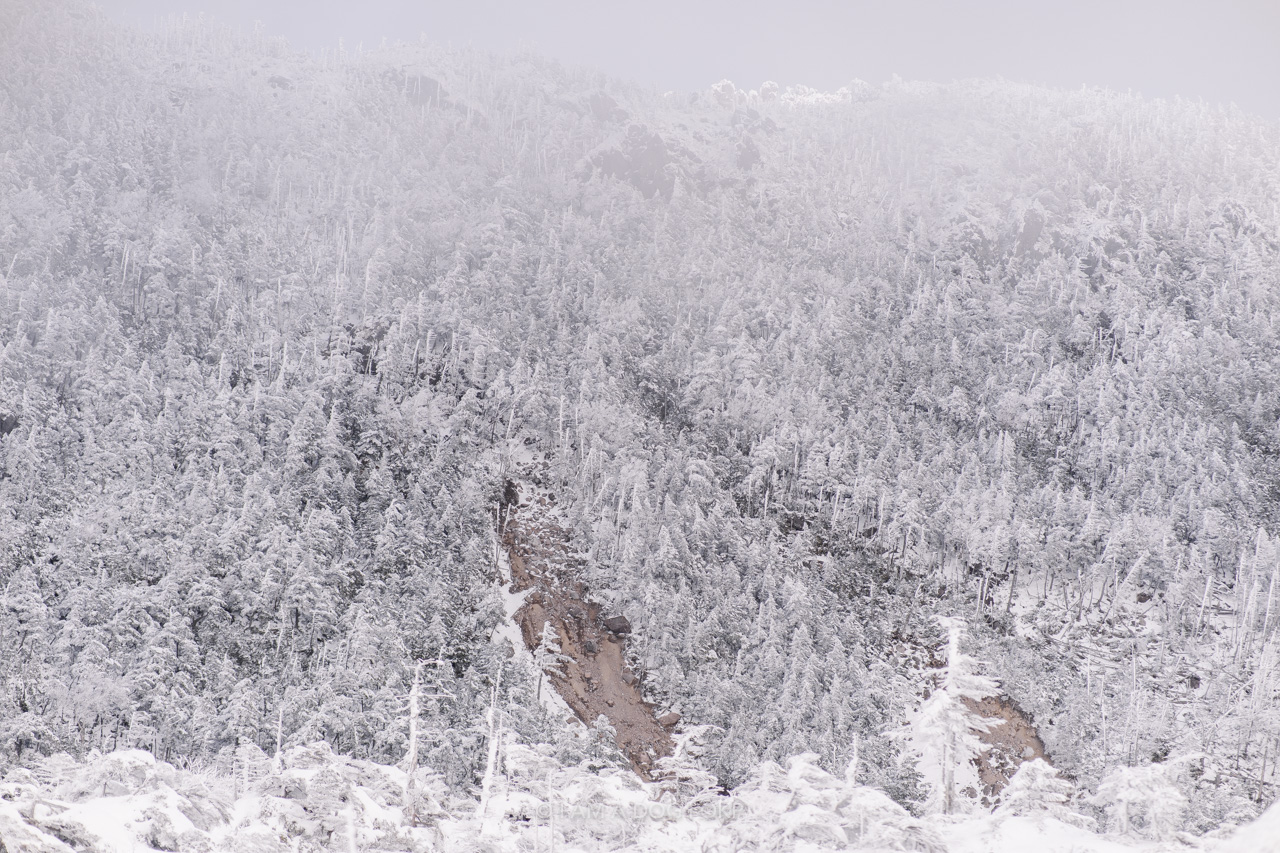 f:id:OKP:20220303233053j:plain