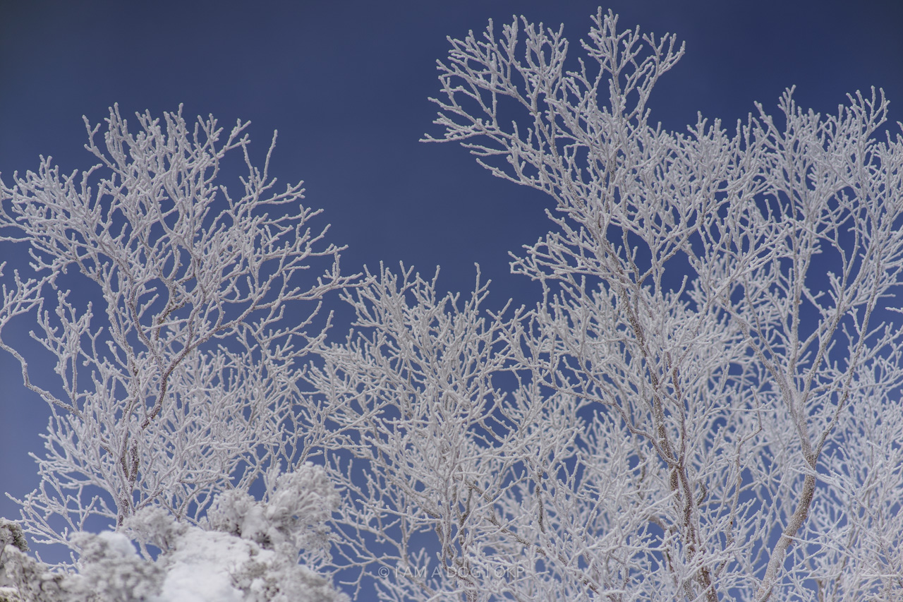 f:id:OKP:20220303233057j:plain