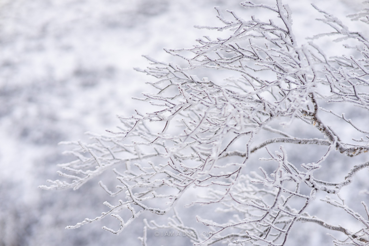 f:id:OKP:20220303233105j:plain